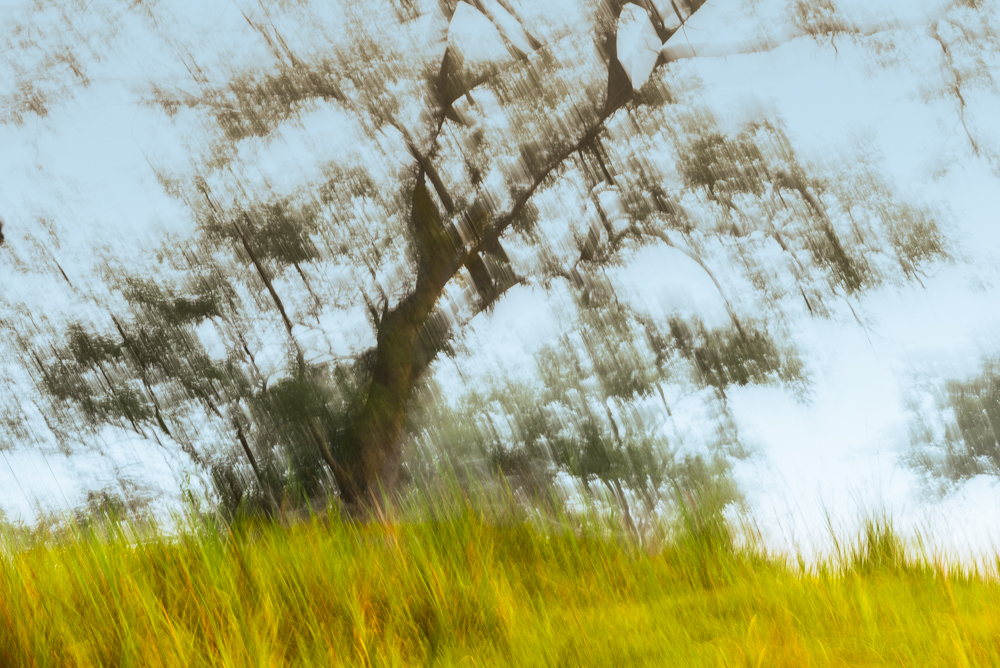 paisaje en movimiento