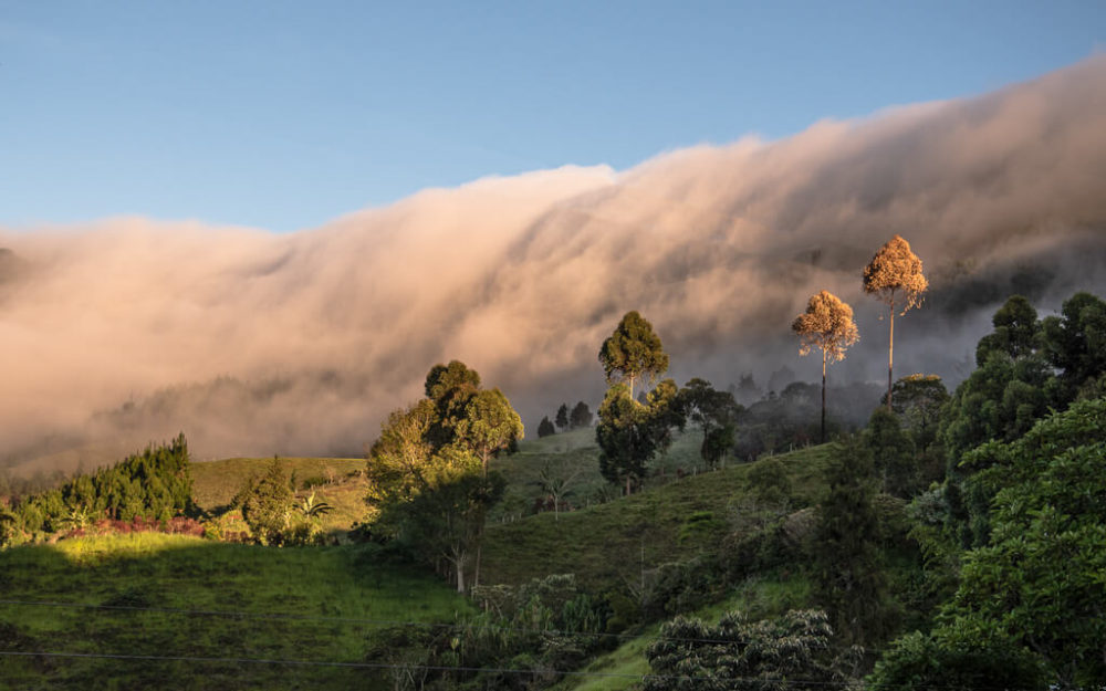 Paisaje neblinoso