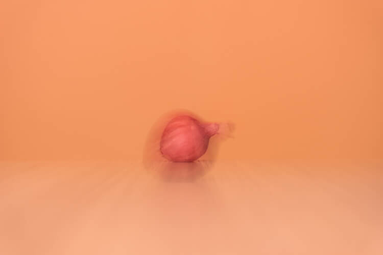 cebolla