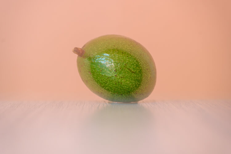 avocado