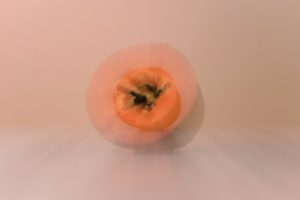 Papaya