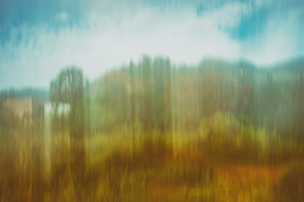 paisaje rural