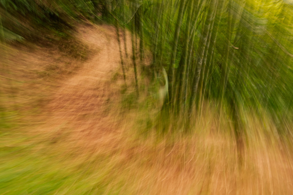 CAMINOS DEL GUADIUAL