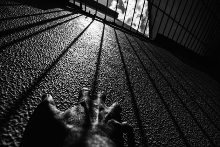 Perspectivas